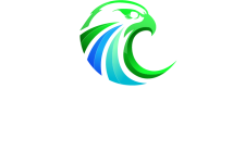 Falcon Focus Media Logo Wit